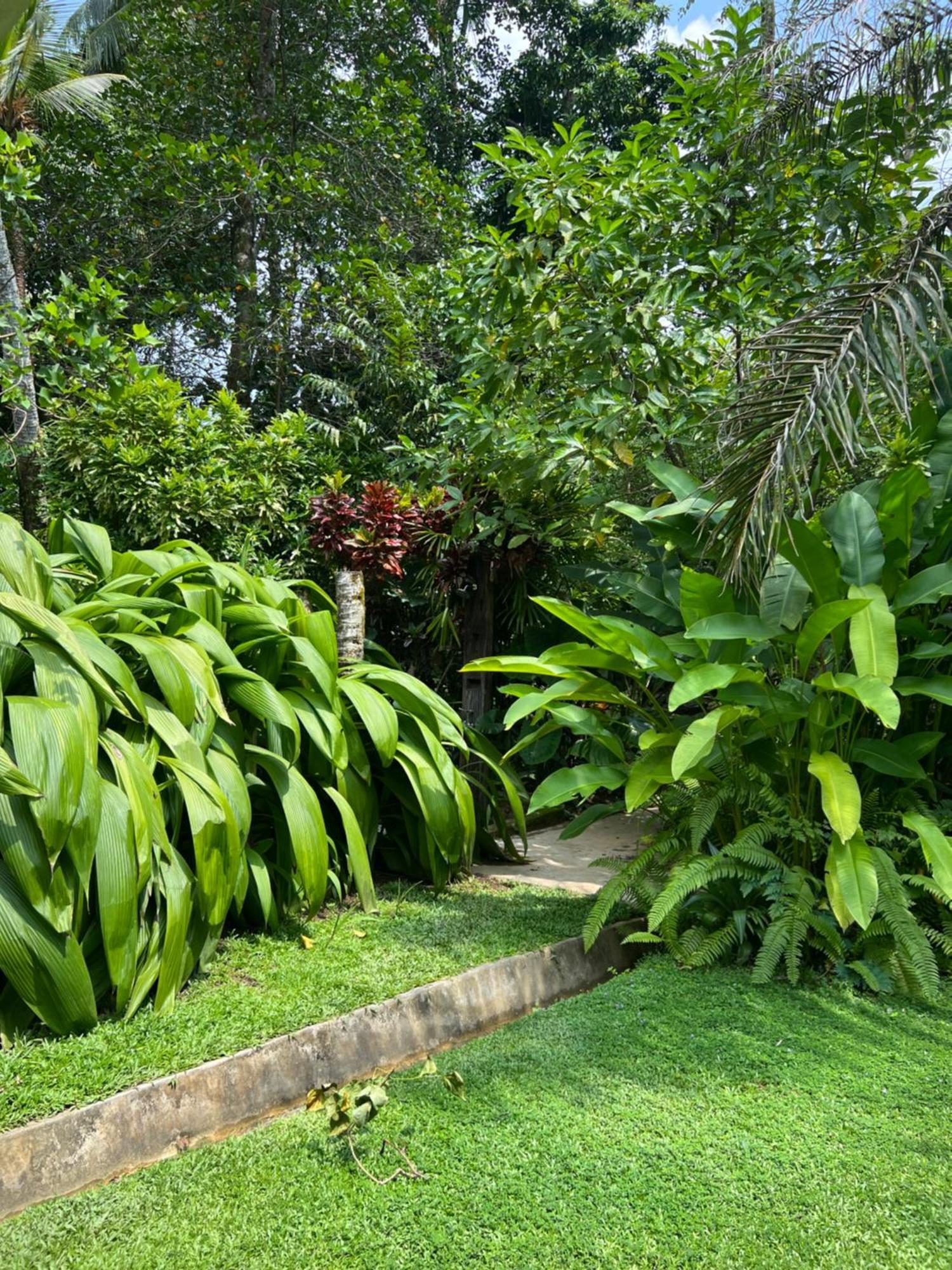 Medusa Bungalow - Galle Esterno foto