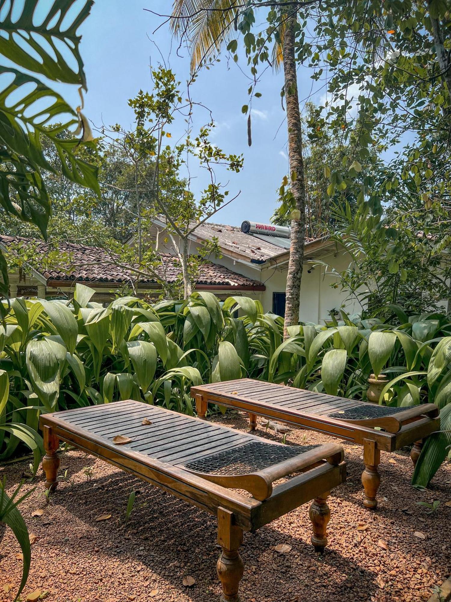 Medusa Bungalow - Galle Esterno foto